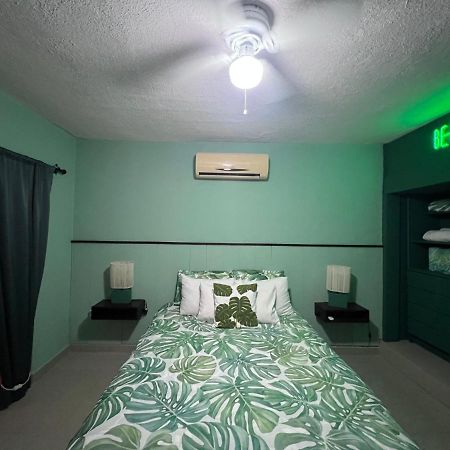 Dici Co-Living Housing Cabo San Lucas Bed & Breakfast Exterior photo