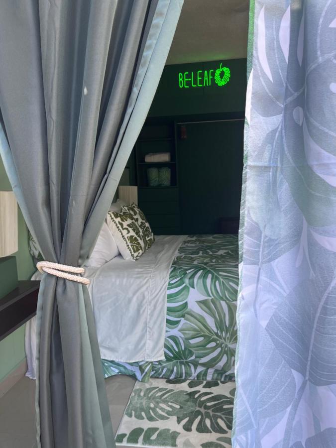 Dici Co-Living Housing Cabo San Lucas Bed & Breakfast Exterior photo