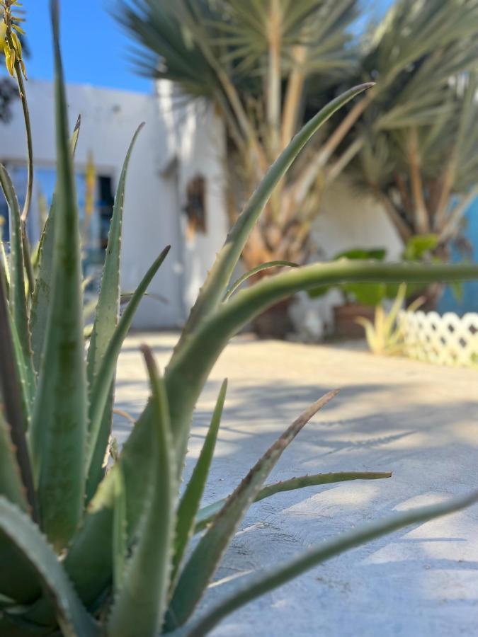 Dici Co-Living Housing Cabo San Lucas Bed & Breakfast Exterior photo