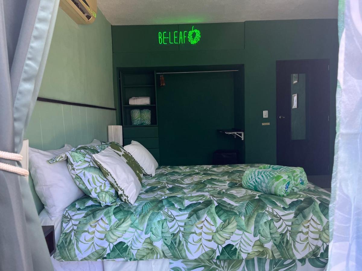Dici Co-Living Housing Cabo San Lucas Bed & Breakfast Exterior photo