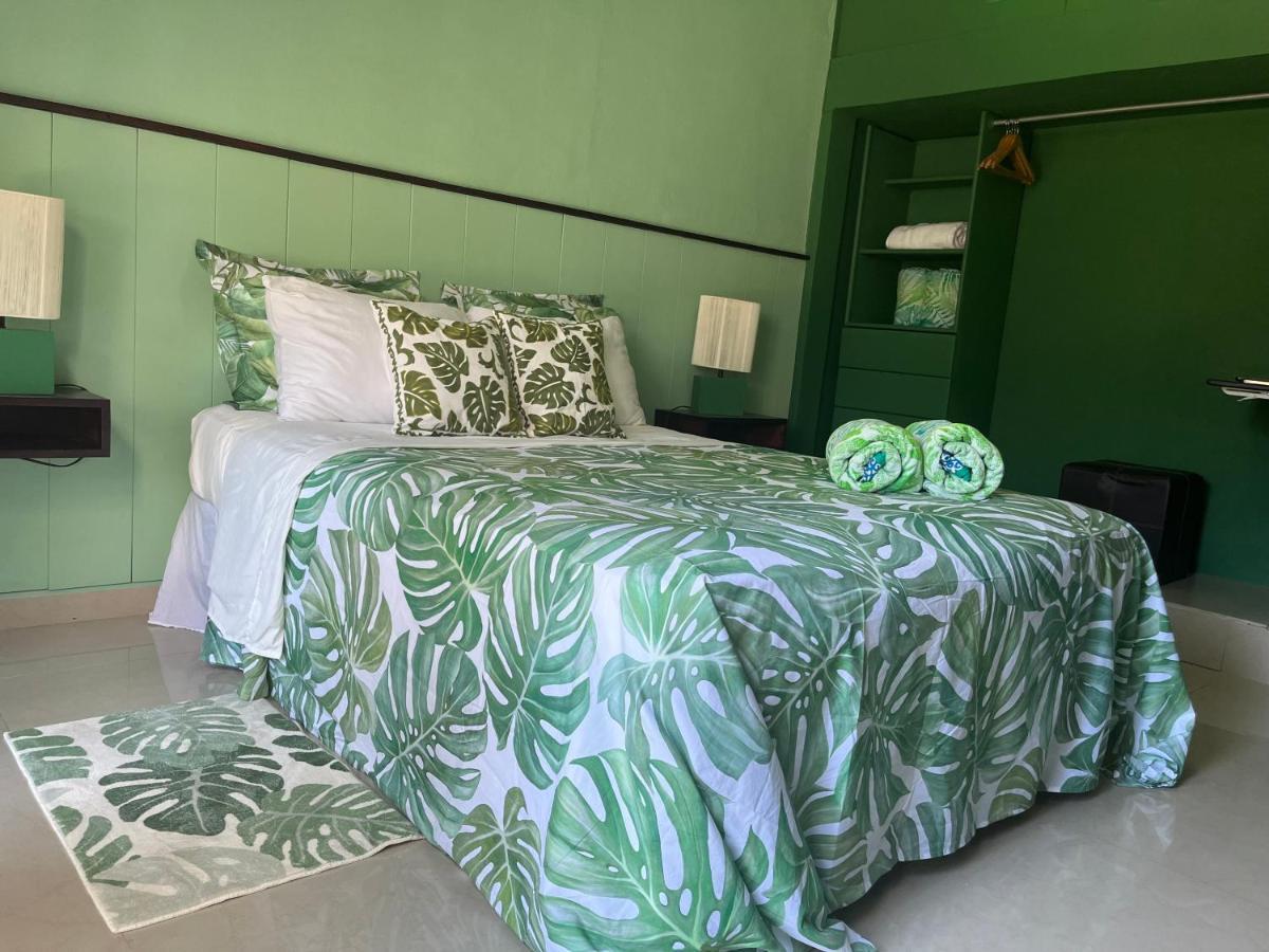 Dici Co-Living Housing Cabo San Lucas Bed & Breakfast Exterior photo