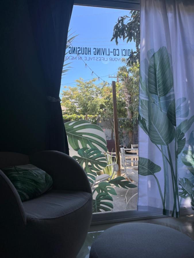 Dici Co-Living Housing Cabo San Lucas Bed & Breakfast Exterior photo