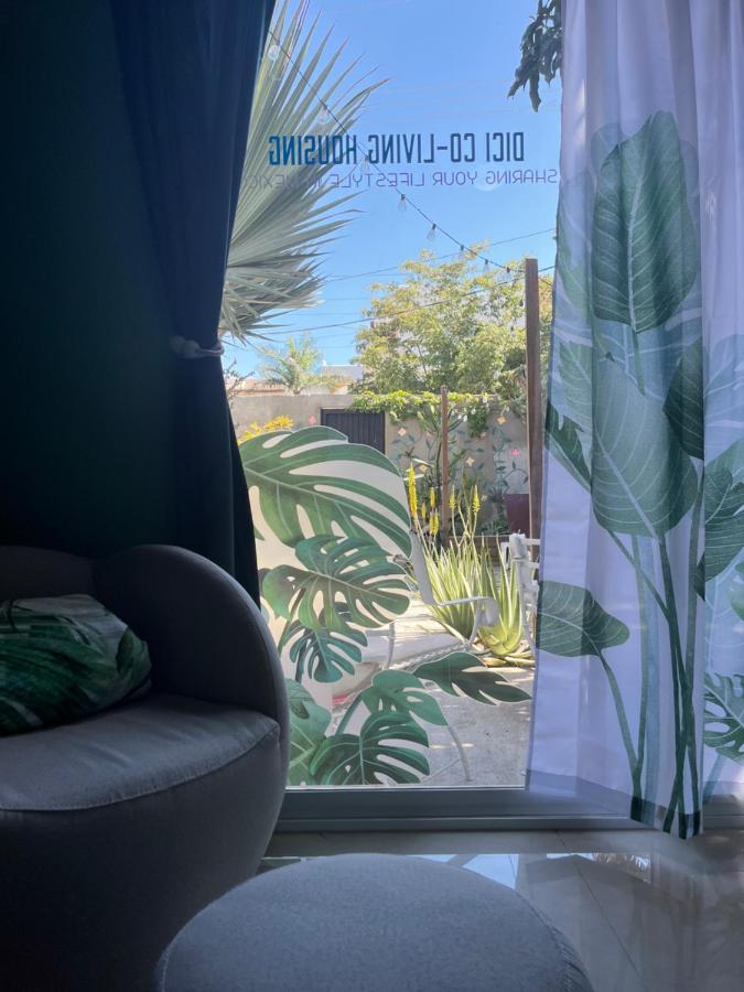 Dici Co-Living Housing Cabo San Lucas Bed & Breakfast Exterior photo
